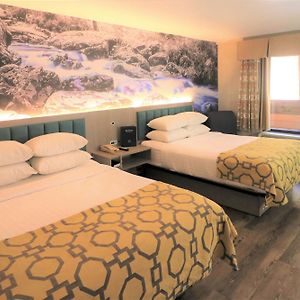 Two-Bedroom Queen Suite